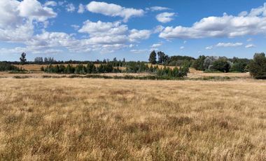 PARCELA DE 3 HECTÁREAS CERCA OSORNO