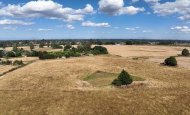 PARCELA DE 3 HECTÁREAS CERCA OSORNO