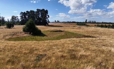 PARCELA DE 3 HECTÁREAS CERCA OSORNO