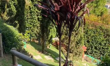 Venta de Propiedad en Rionegro – Vía San Vicente