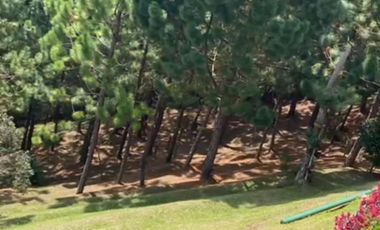 Venta de Propiedad en Rionegro – Vía San Vicente