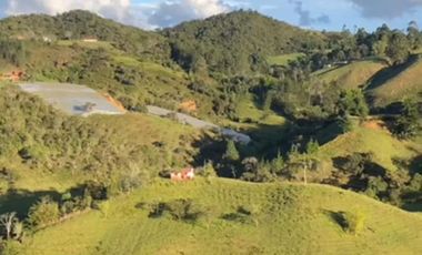 Venta de Propiedad en Rionegro – Vía San Vicente