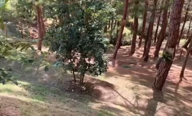 Venta de Propiedad en Rionegro – Vía San Vicente