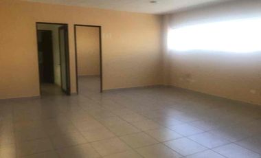 BODEGA RENTA APODACA NL