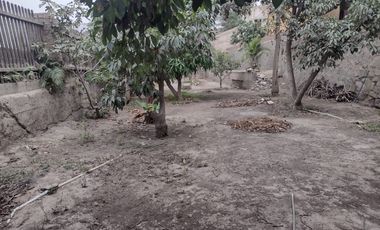 VENTA DE TERRENO EN CHOSICA