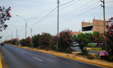 VENDO TERRENO  COMERCIAL DE 1094 M2 EN PLENA AV. CARLOS IZAGUIRRE SMP
