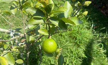 VENTA DE HERMOSA PARCELA A SOLO 15 MINUTOS DEL AEREOPUERTO