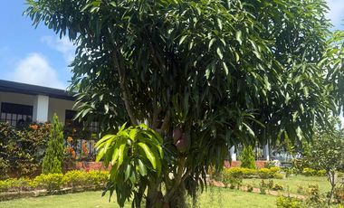 VENTA DE HERMOSA PARCELA A SOLO 15 MINUTOS DEL AEREOPUERTO