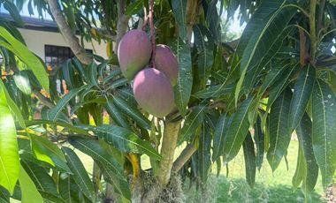 VENTA DE HERMOSA PARCELA A SOLO 15 MINUTOS DEL AEREOPUERTO