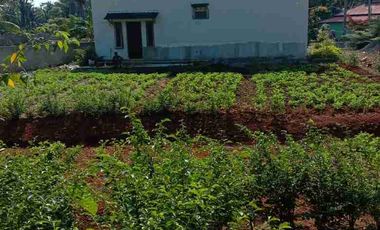 jual villa atau homestay deket pantai luas 1500 m2 ada 5 bangunan