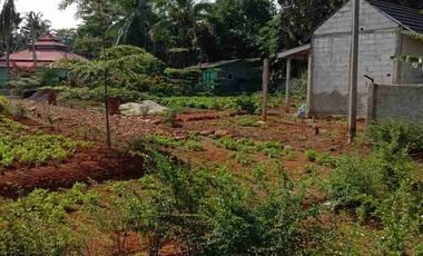 jual villa atau homestay deket pantai luas 1500 m2 ada 5 bangunan