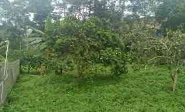 casa campestre en venta en pavas