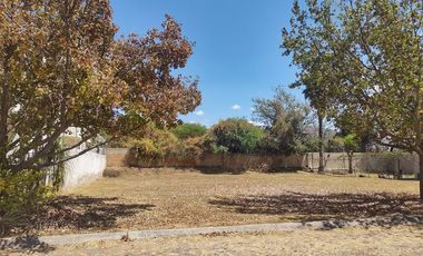 Terreno en venta Colinas de Santa Anita