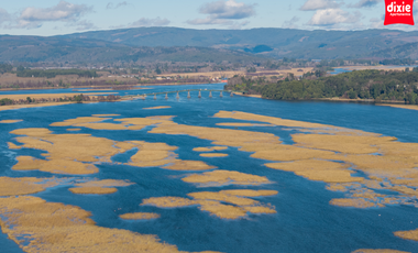 Departamento en Valdivia - Arriendo diario