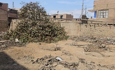TERRENO PRIME EN CAÑETE: LA UBICACIÓN ESTRATÉGICA QUE SU PROYECTO NECESITA