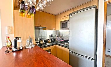 Departamento En Arriendo 1D 1B Amoblado en Los Leones Providencia