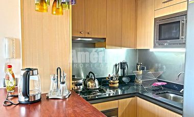 Departamento En Arriendo 1D 1B Amoblado en Los Leones Providencia