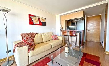 Departamento En Arriendo 1D 1B Amoblado en Los Leones Providencia