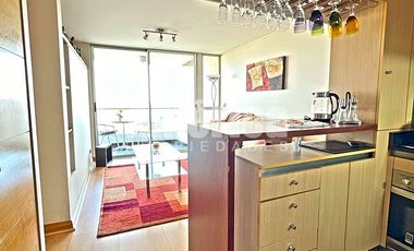 Departamento En Arriendo 1D 1B Amoblado en Los Leones Providencia