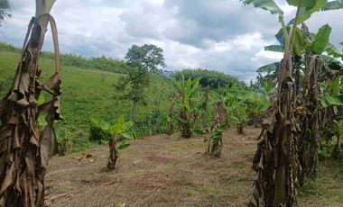 se vende finca