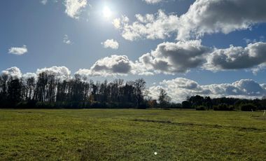 Parcelas en Villarrica Rol propio