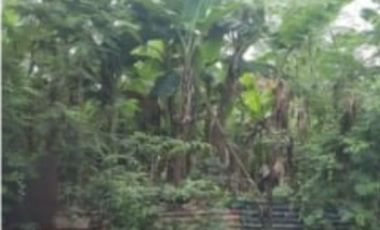 Tanah dijual di RW 01, Rungkut Menanggal, Gunung Anyar, Surabaya, Jawa Timur