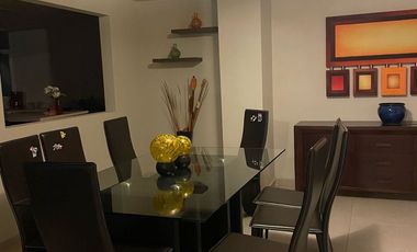 RENTA DEPARTAMENTO AMUEBLADO ,TORRE VISTARA. AV CHAPULTEPEC SAN LUIS  POTOSI