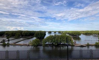Sewa Ruko PIK 2 Marina Bay 6x21 View Mangrove (Satuan / Gandeng)