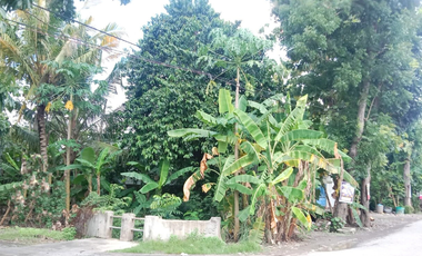 JUAL Tanah Posisi Hook Cocok Untuk Segala Usaha di Taman Tlogomulyo Pedurungan Semarang