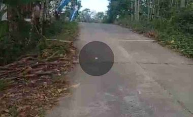 tanah 3ha di limbangan boja untuk ternak