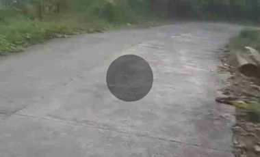 tanah 3ha di limbangan boja untuk ternak