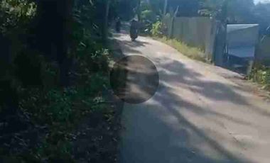 tanah 4ha di limbangan u/ternak ayam