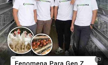 tanah 4ha di limbangan u/ternak ayam