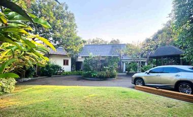Tropical House with Big Pool & Garden Cipete Selatan