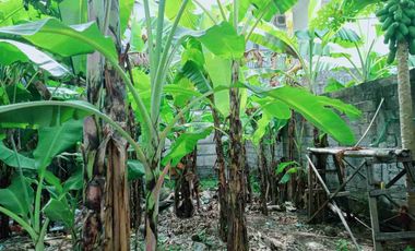 Di jual Tanah kosong jalan Trengguli Denpasar Timur