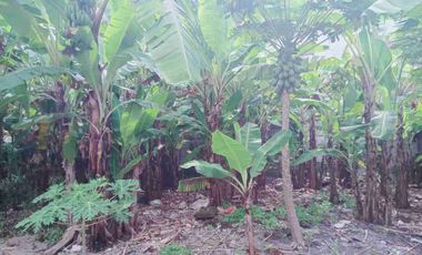 Di jual Tanah kosong jalan Trengguli Denpasar Timur