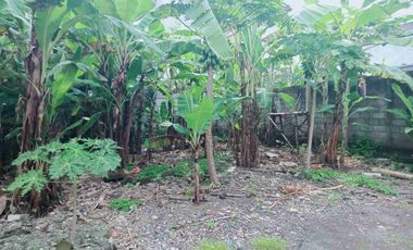 Di jual Tanah kosong jalan Trengguli Denpasar Timur