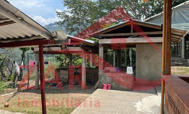 Casa campestre en Arriendo Ebéjico