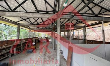 Casa campestre en Arriendo Ebéjico