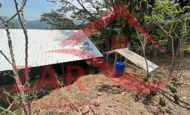 Casa campestre en Arriendo Ebéjico