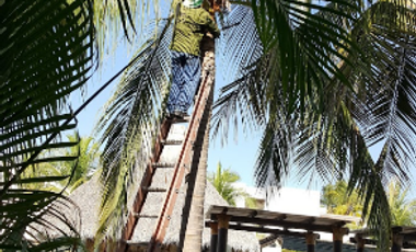 ¡ADQUIERE LA CASA DE TUS SUEÑOS CON ESTE; (INMUEBLE DE RECUPERACIÓN BANCARIA ) YA CON POSESION AGENDA TU VISITA ------SOLO RECURSOS PROPIOS