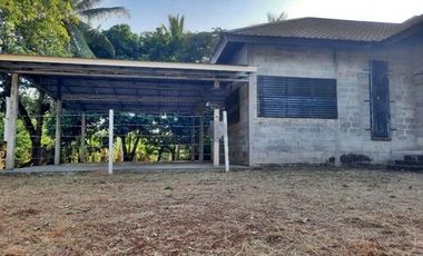 F4-0380 ขายบ้านเดี่ยว บ้านโพธิ์ตาก-บ้านเป้า ต. บ้านว่าน อ.ท่าบ่อ จ.หนองคาย
