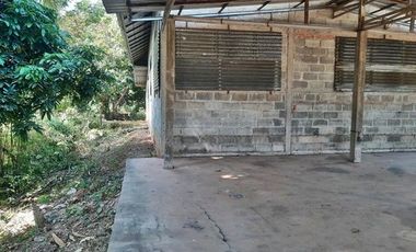 F4-0380 ขายบ้านเดี่ยว บ้านโพธิ์ตาก-บ้านเป้า ต. บ้านว่าน อ.ท่าบ่อ จ.หนองคาย