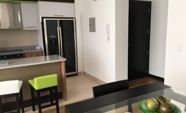 Departamento con Estilo Contemporáneo