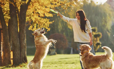 TERRENO EN ZONA ANDARES EN VENTA EN PASEO DE GRACIA, TRAVESSERA