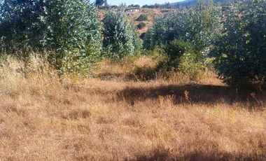 Vende Parcelas Altos del Bosque, Concepción, SIN COSTO DE COMISION.
