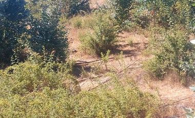 Vende Parcelas Altos del Bosque, Concepción, SIN COSTO DE COMISION.