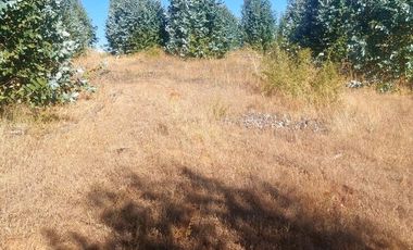 Vende Parcelas Altos del Bosque, Concepción, SIN COSTO DE COMISION.