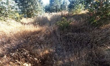 Vende Parcelas Altos del Bosque, Concepción, SIN COSTO DE COMISION.