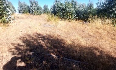 Vende Parcelas Altos del Bosque, Concepción, SIN COSTO DE COMISION.